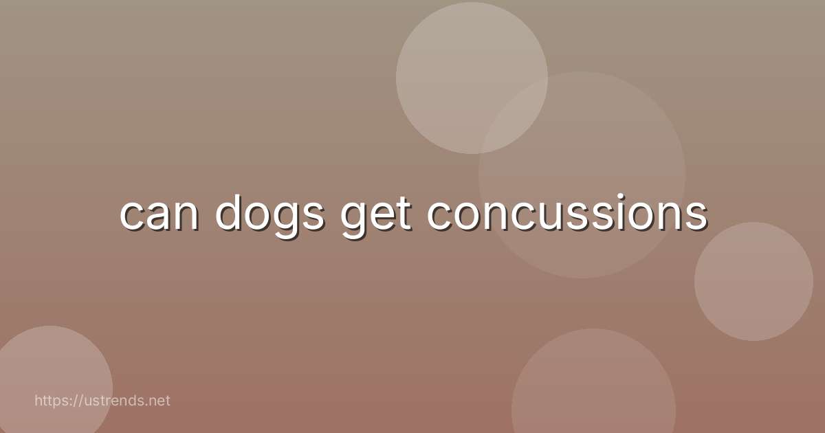 can dogs get concussions