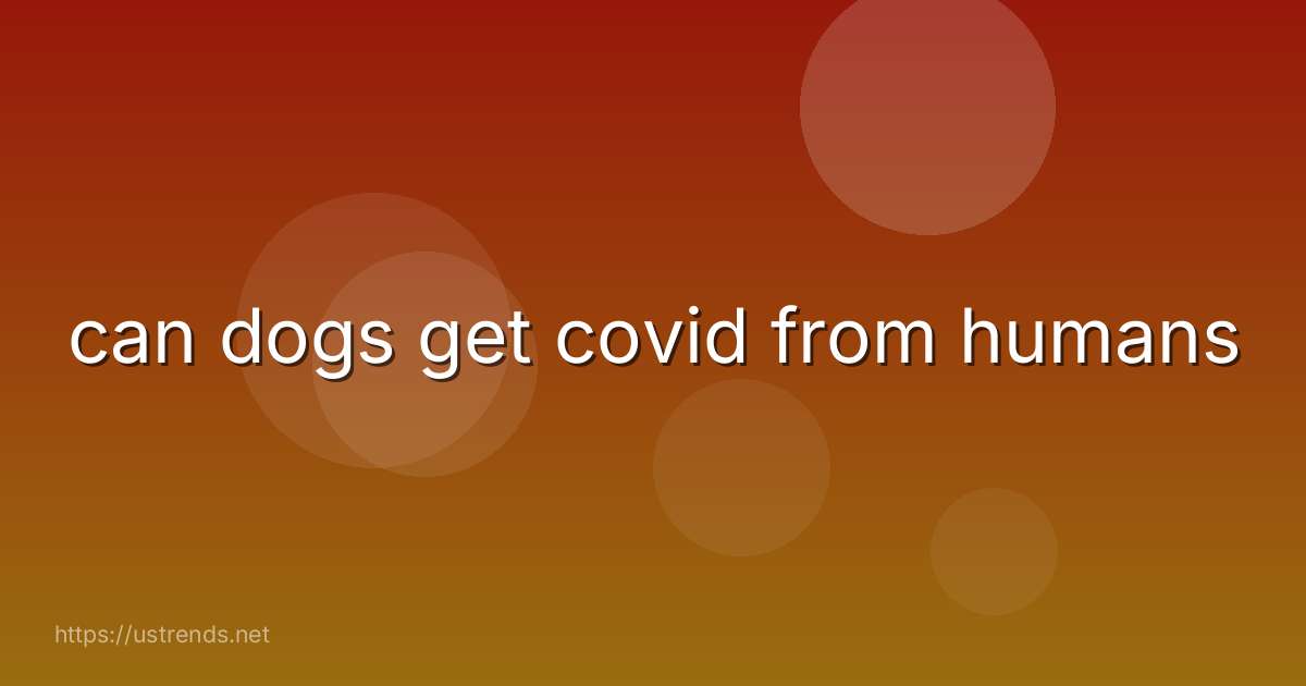 can dogs get covid from humans