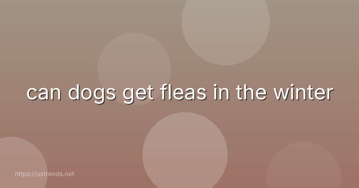 can dogs get fleas in the winter