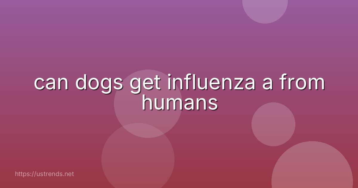 can dogs get influenza a from humans