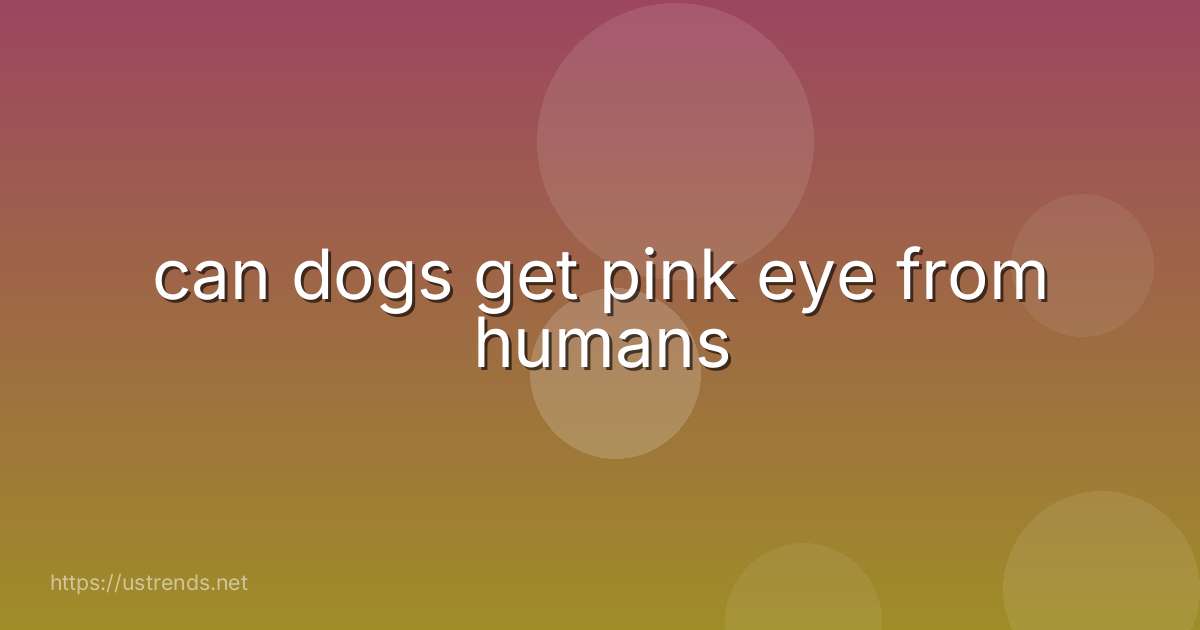 can dogs get pink eye from humans