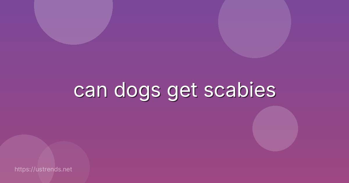 can dogs get scabies