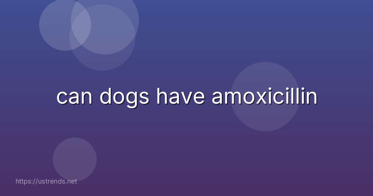 can dogs have amoxicillin