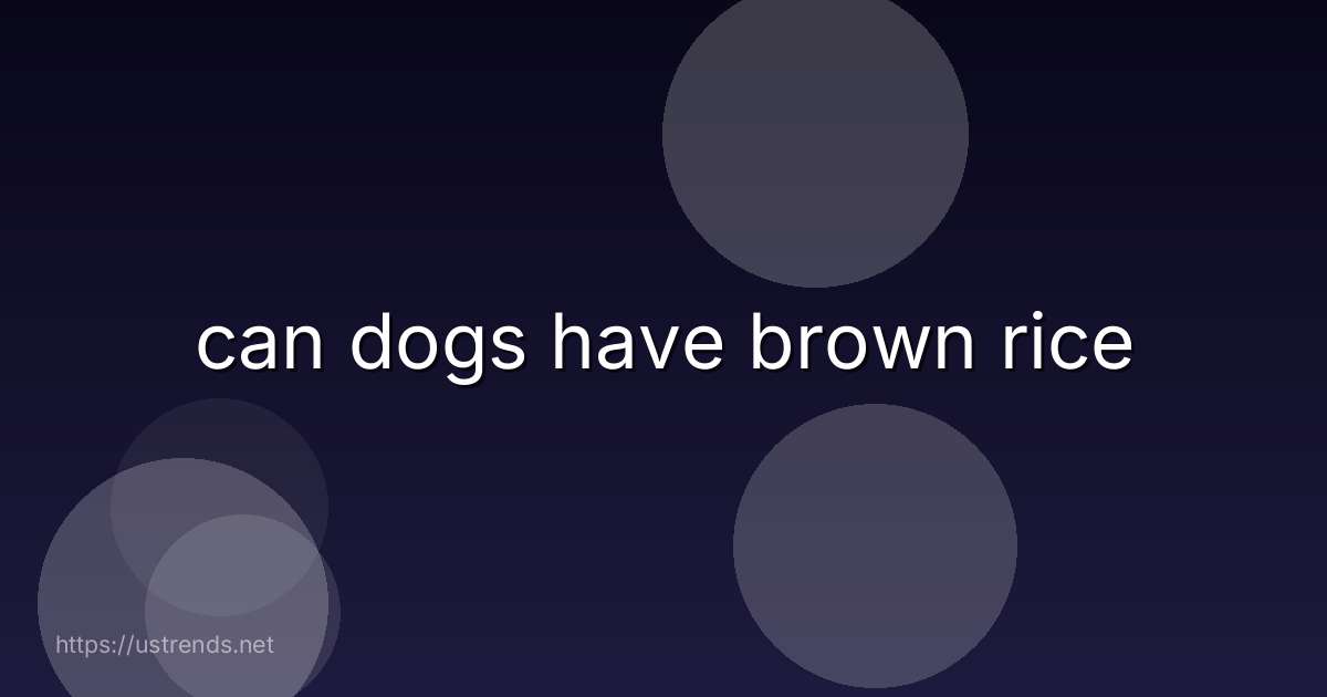 can dogs have brown rice