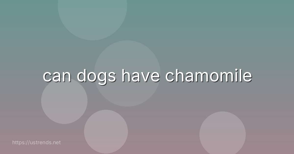 can dogs have chamomile