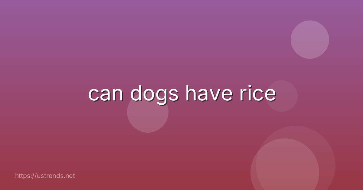 can dogs have rice