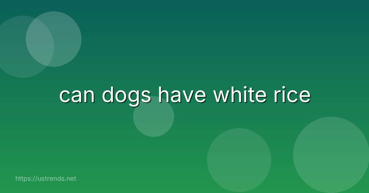 can dogs have white rice
