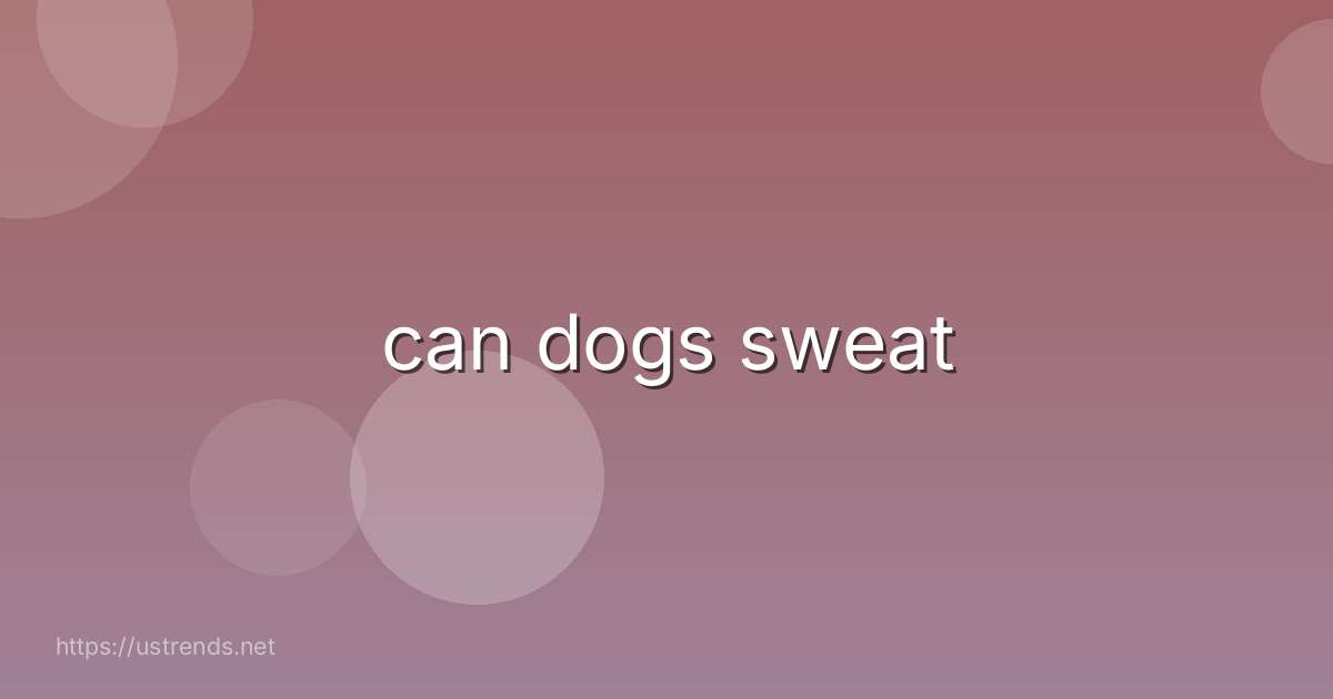 can dogs sweat