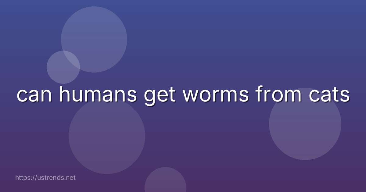 can humans get worms from cats