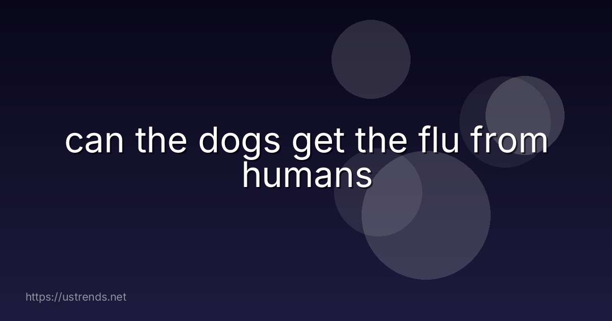 can the dogs get the flu from humans