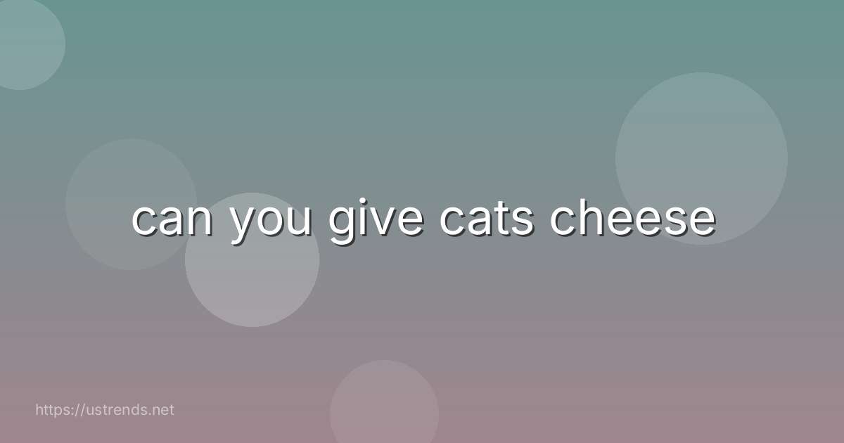 can you give cats cheese