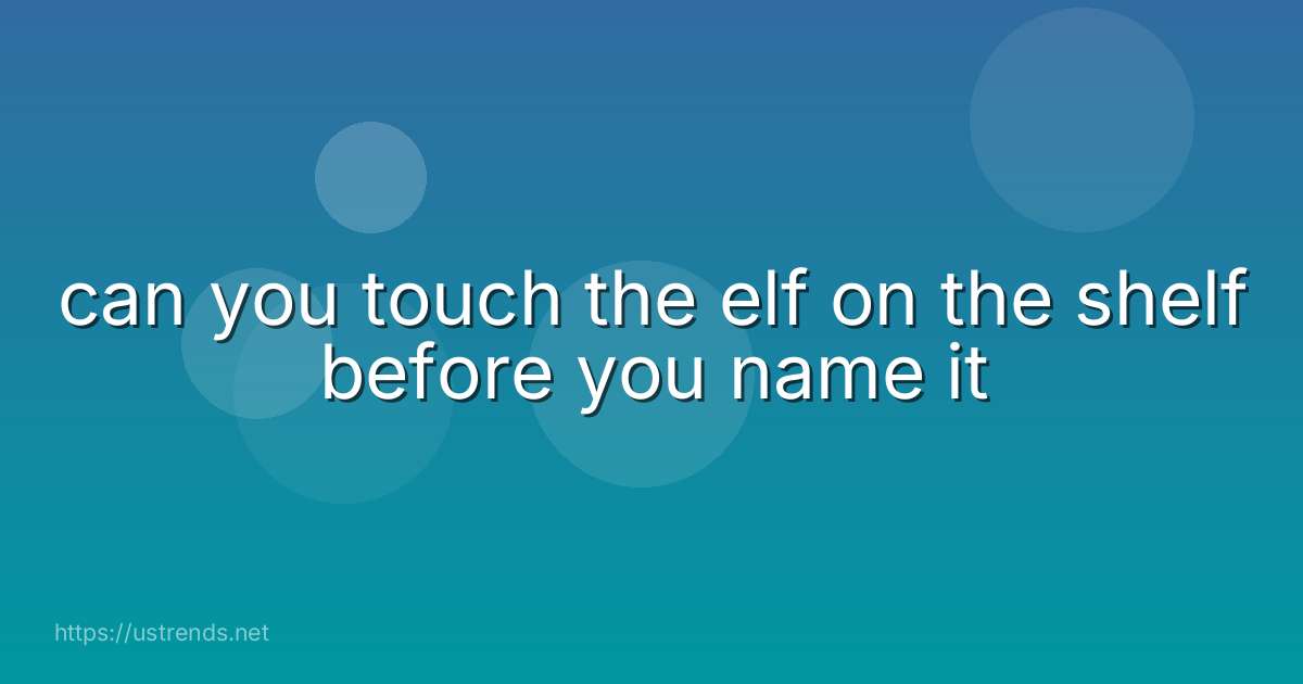 can you touch the elf on the shelf before you name it