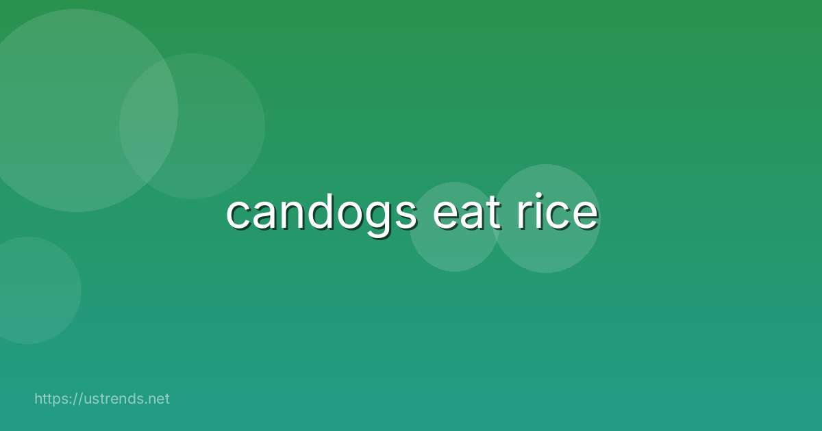 candogs eat rice