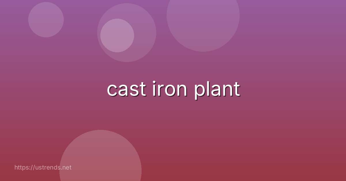 cast iron plant