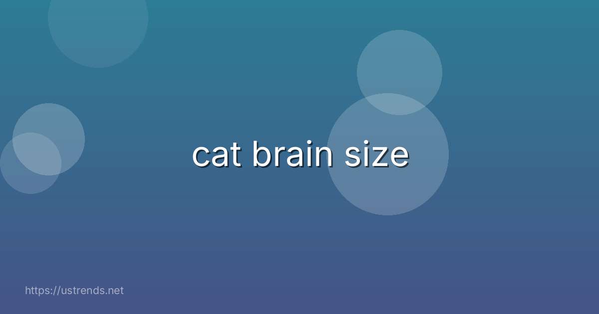 cat brain size