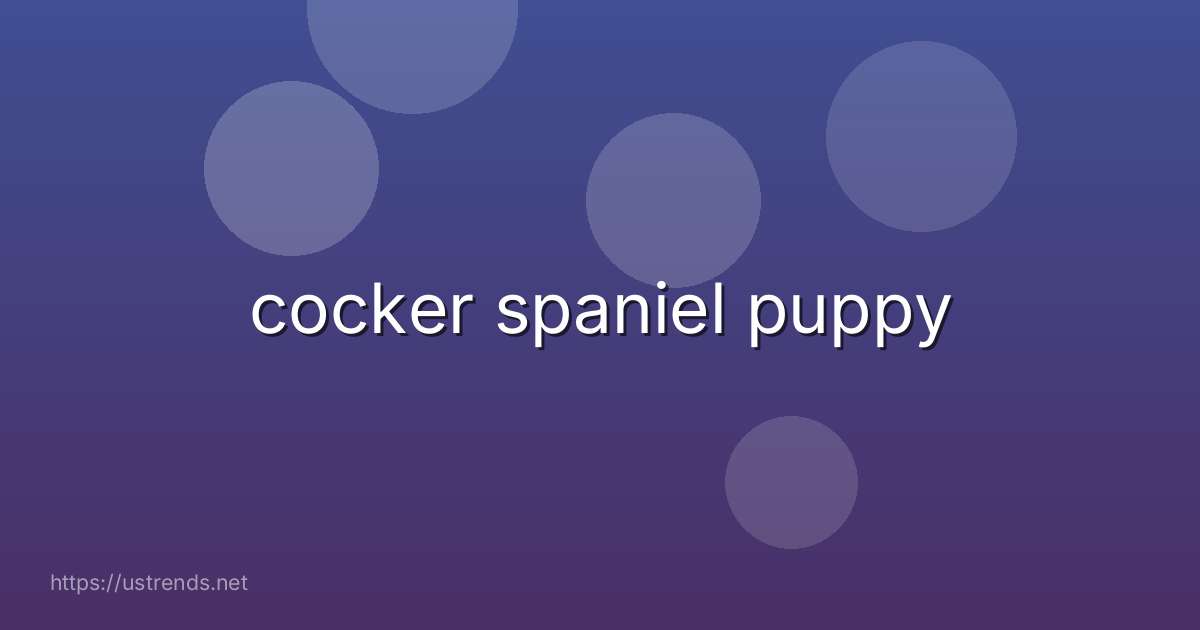 cocker spaniel puppy