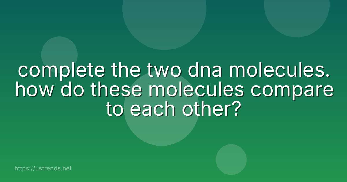 complete the two dna molecules. how do these molecules compare to each other?