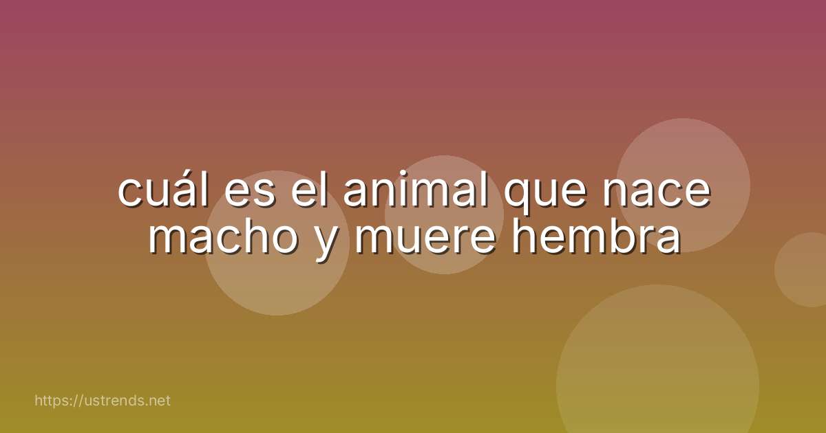 cuál es el animal que nace macho y muere hembra