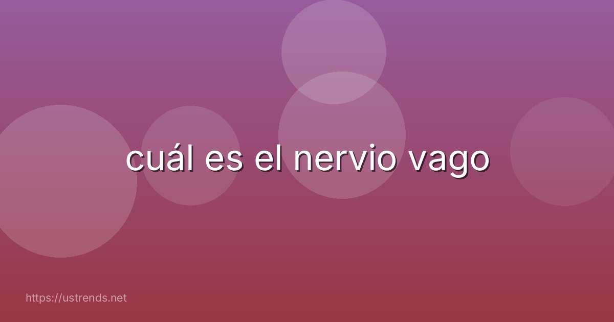 cuál es el nervio vago