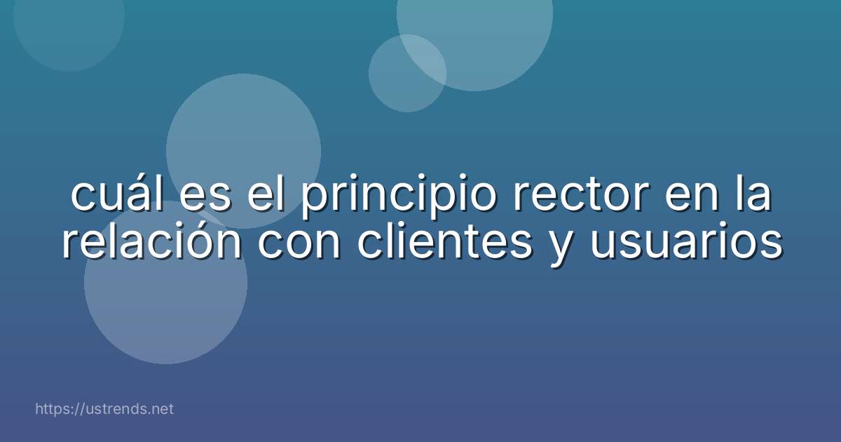 cuál es el principio rector en la relación con clientes y usuarios