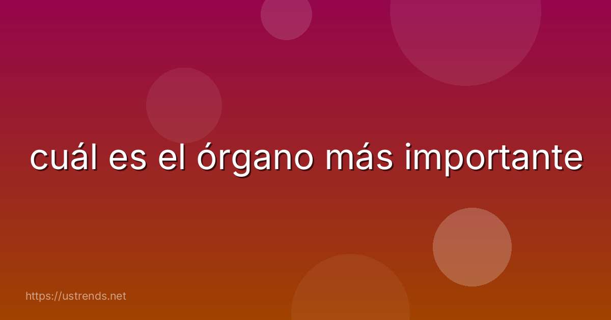 cuál es el órgano más importante