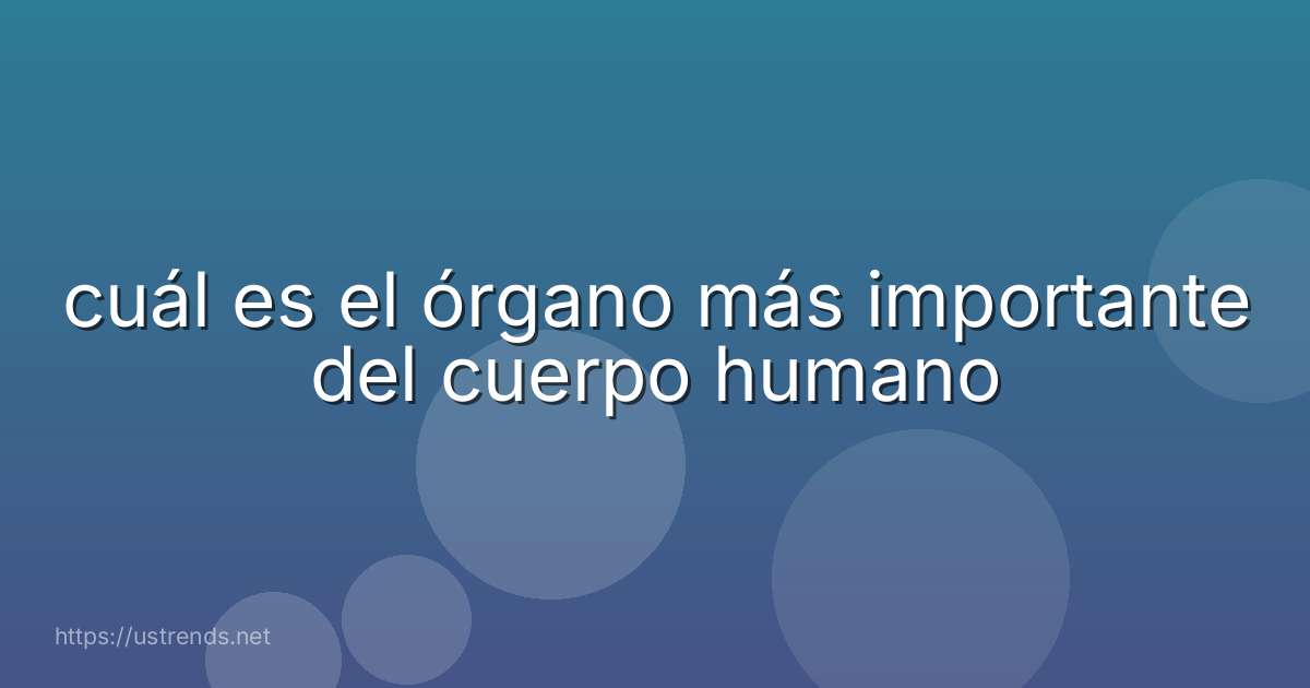 cuál es el órgano más importante del cuerpo humano
