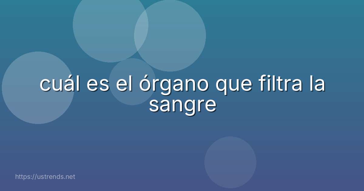 cuál es el órgano que filtra la sangre