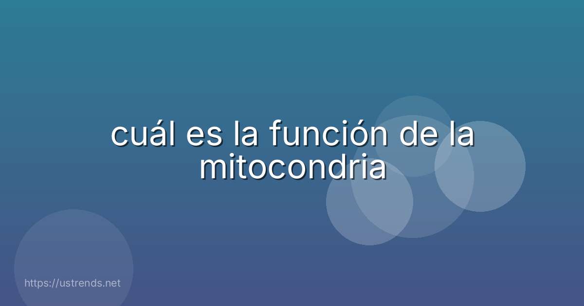 cuál es la función de la mitocondria