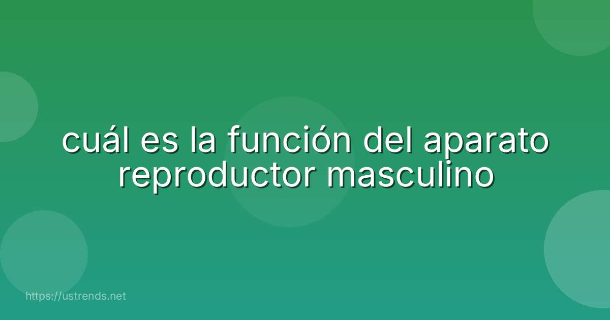 cuál es la función del aparato reproductor masculino