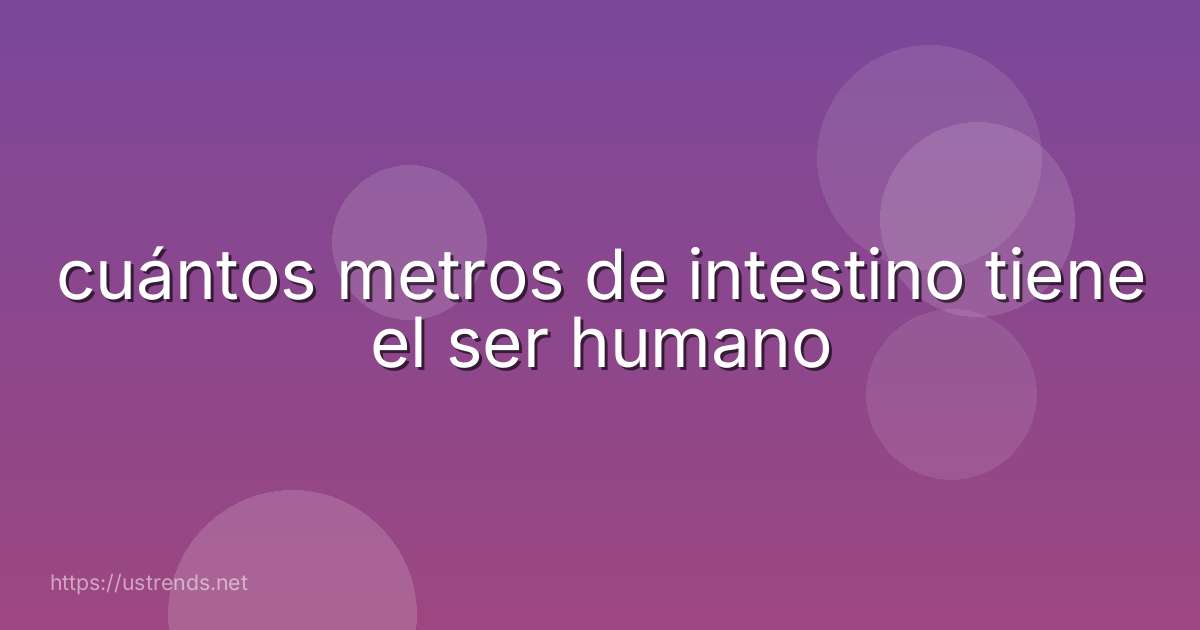 cuántos metros de intestino tiene el ser humano