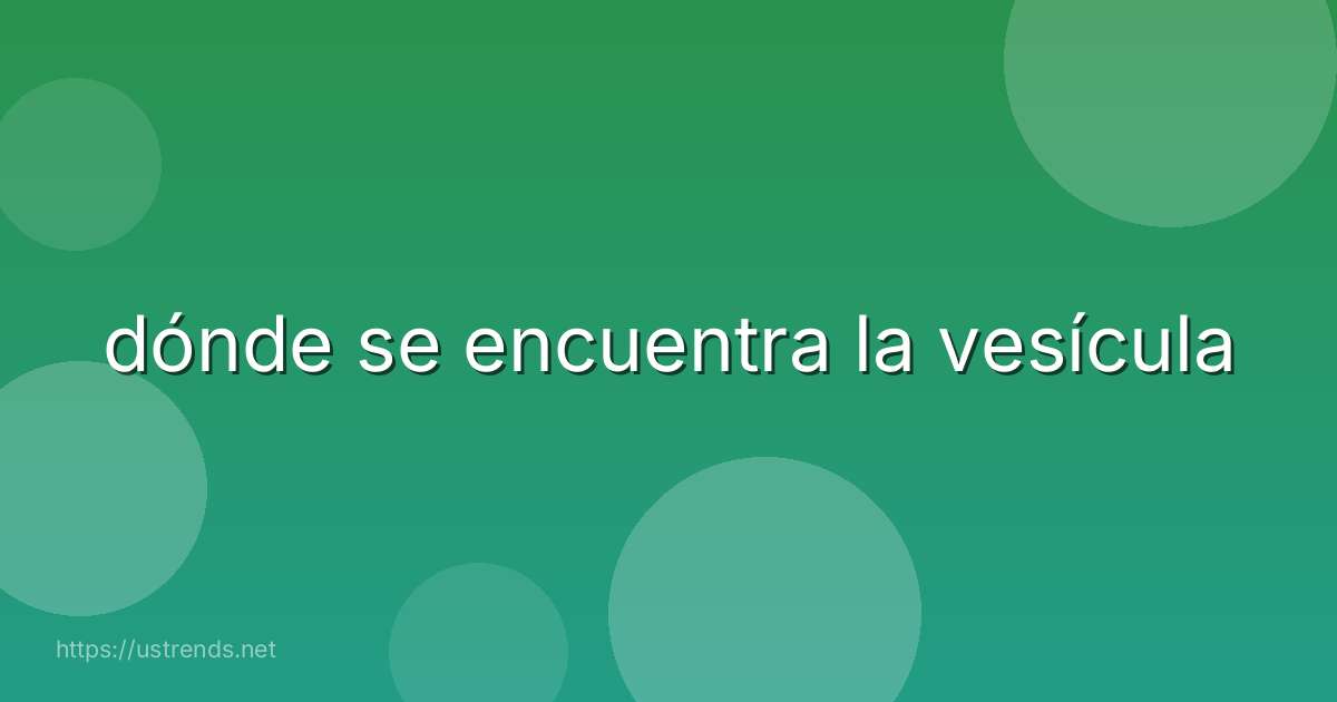 dónde se encuentra la vesícula