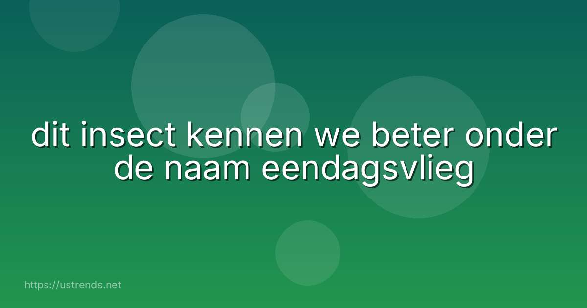 dit insect kennen we beter onder de naam eendagsvlieg