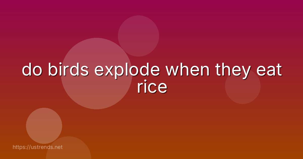 do birds explode when they eat rice