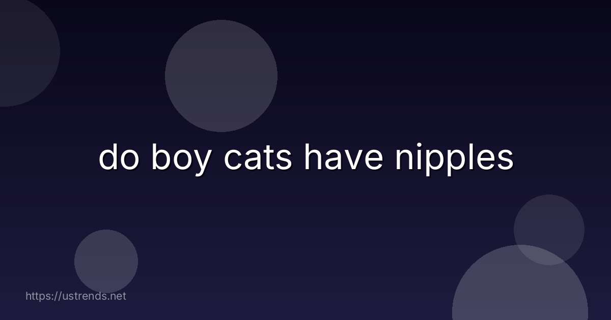 do boy cats have nipples