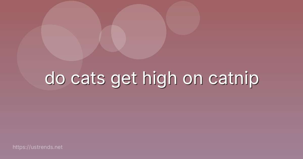 do cats get high on catnip