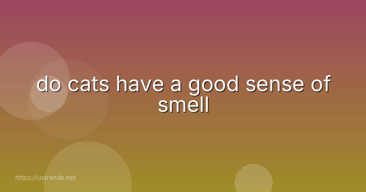 do cats have a good sense of smell