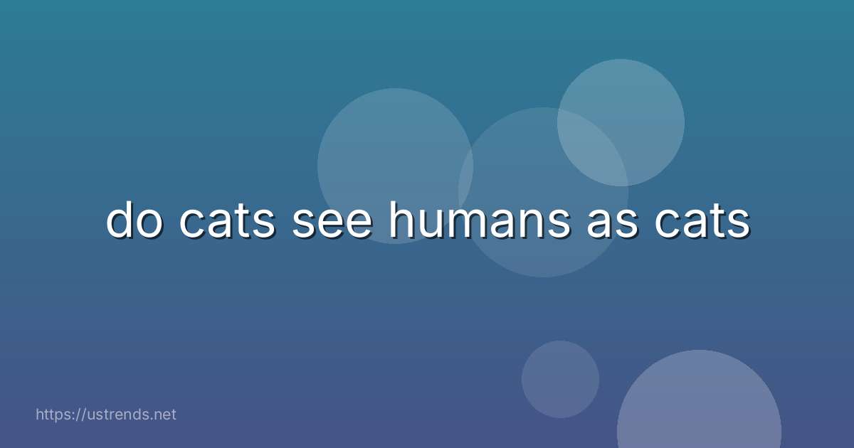 do cats see humans as cats