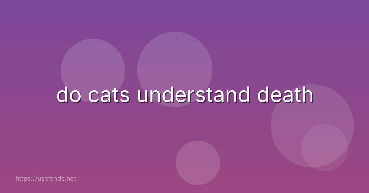 do cats understand death