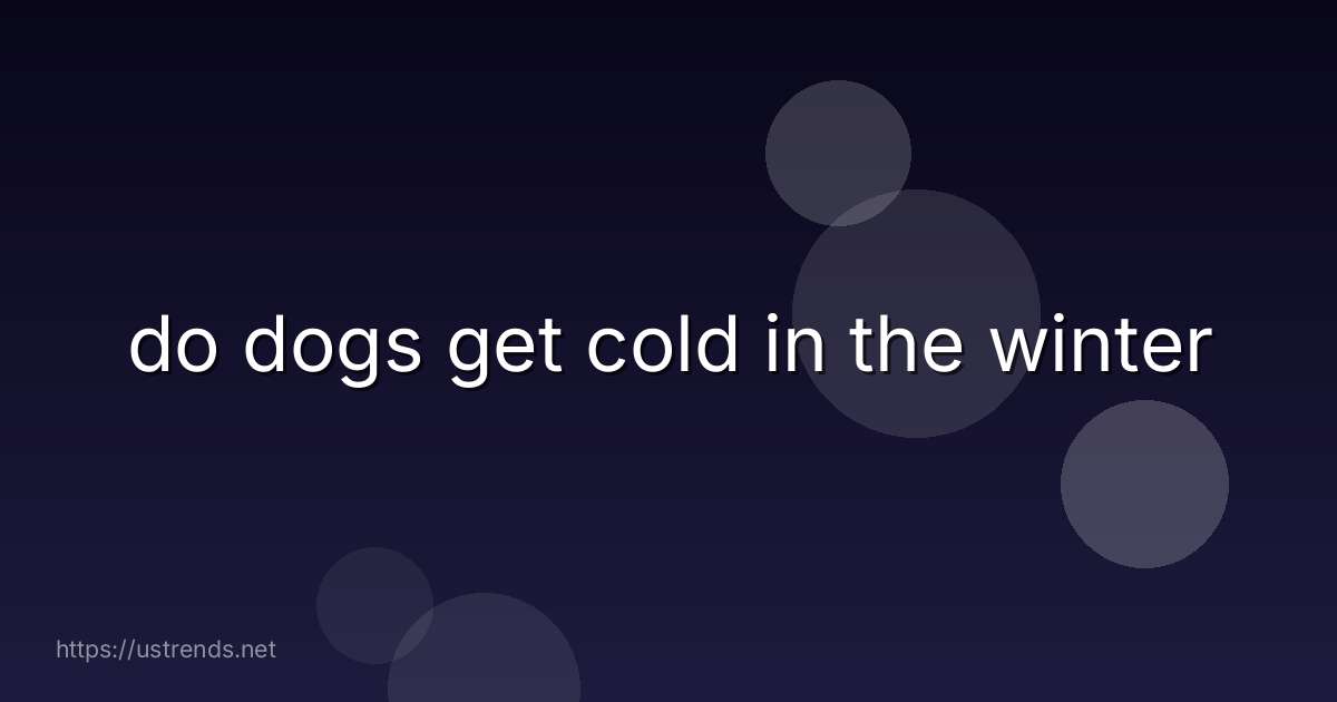 do dogs get cold in the winter