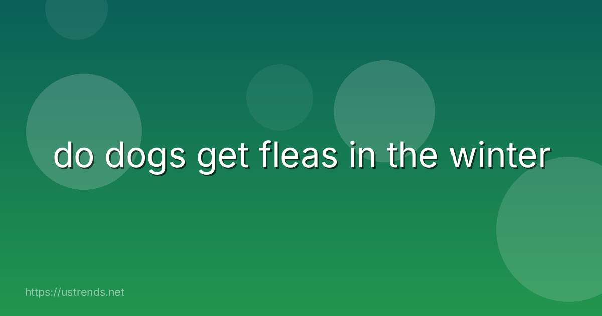 do dogs get fleas in the winter