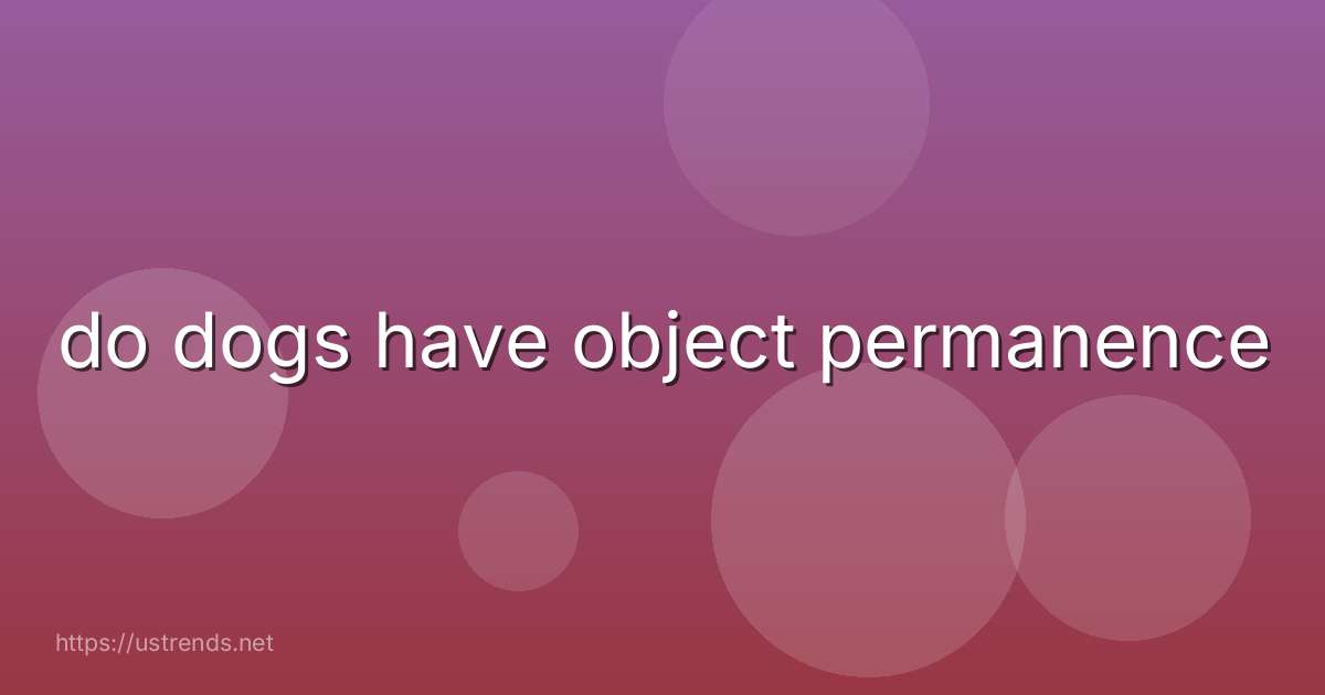 do dogs have object permanence