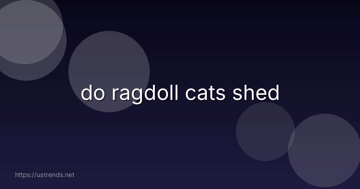 do ragdoll cats shed