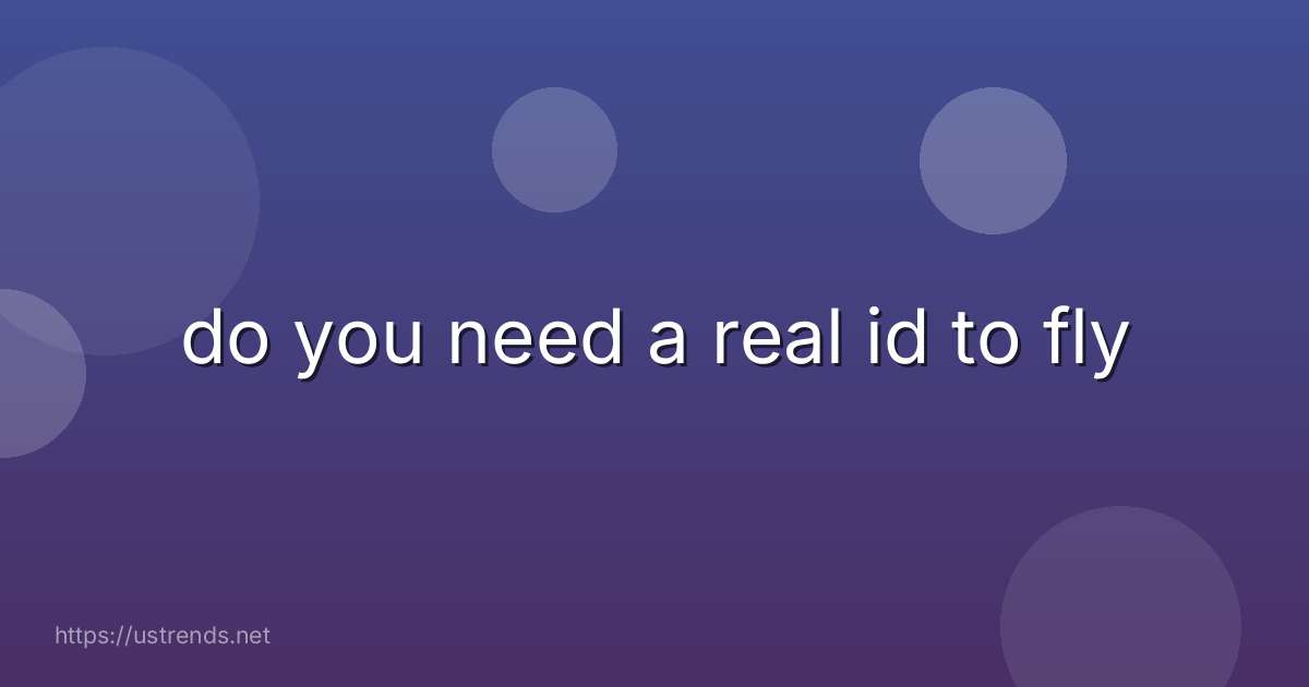 do you need a real id to fly