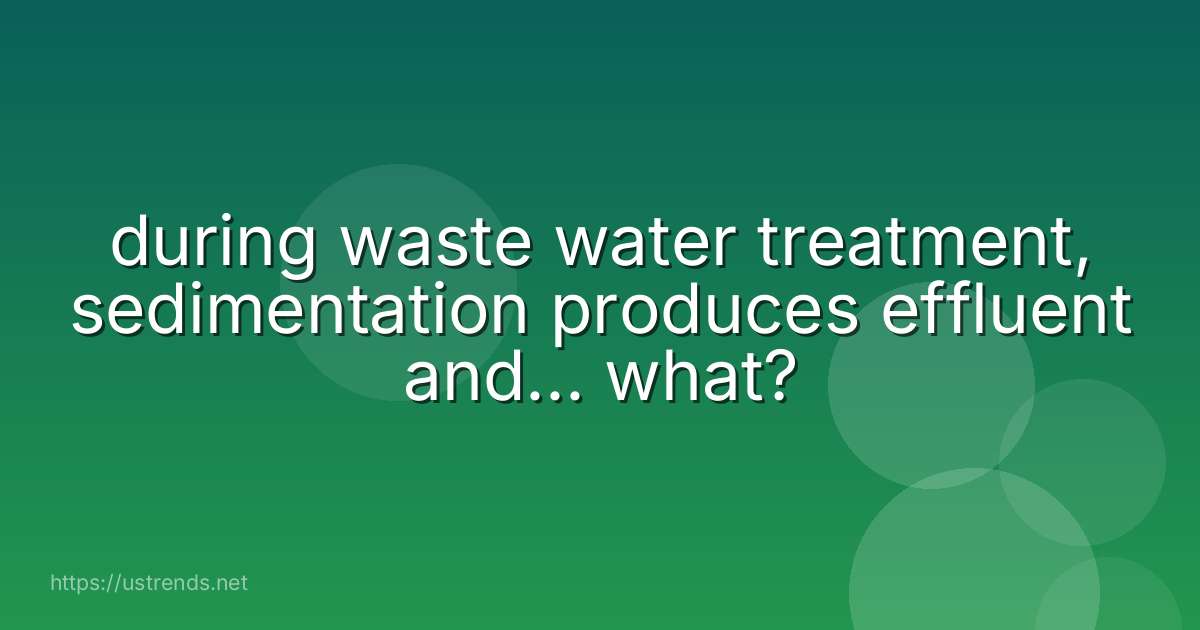 during waste water treatment, sedimentation produces effluent and... what?