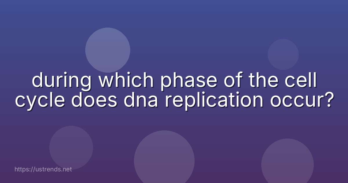 during which phase of the cell cycle does dna replication occur?