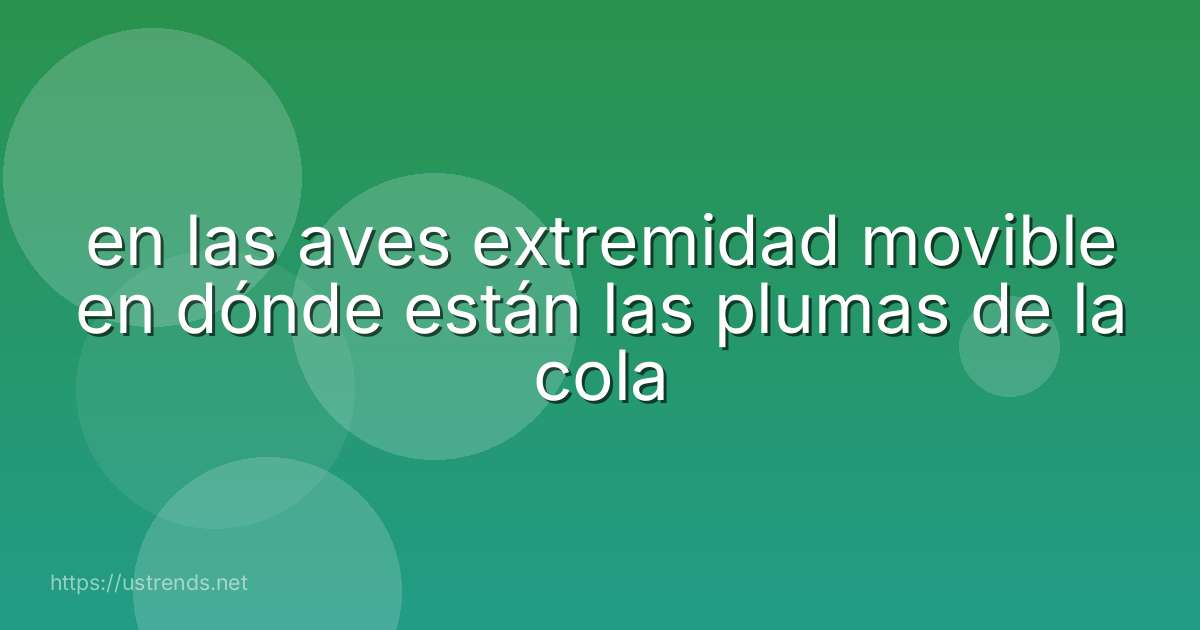 en las aves extremidad movible en dónde están las plumas de la cola