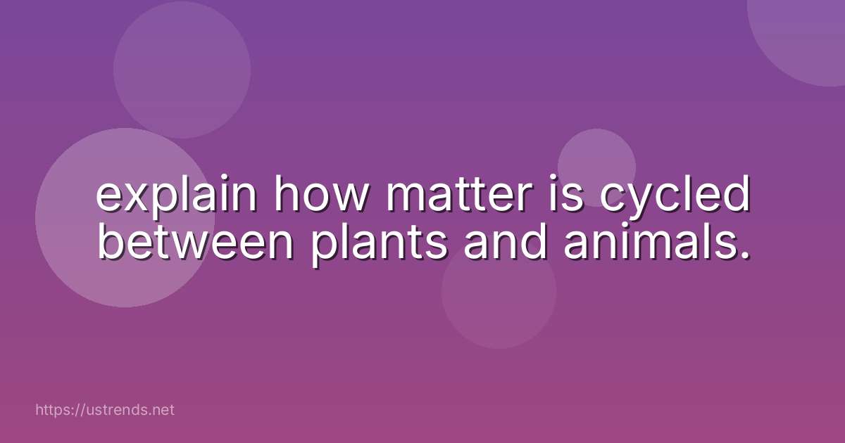 explain how matter is cycled between plants and animals.