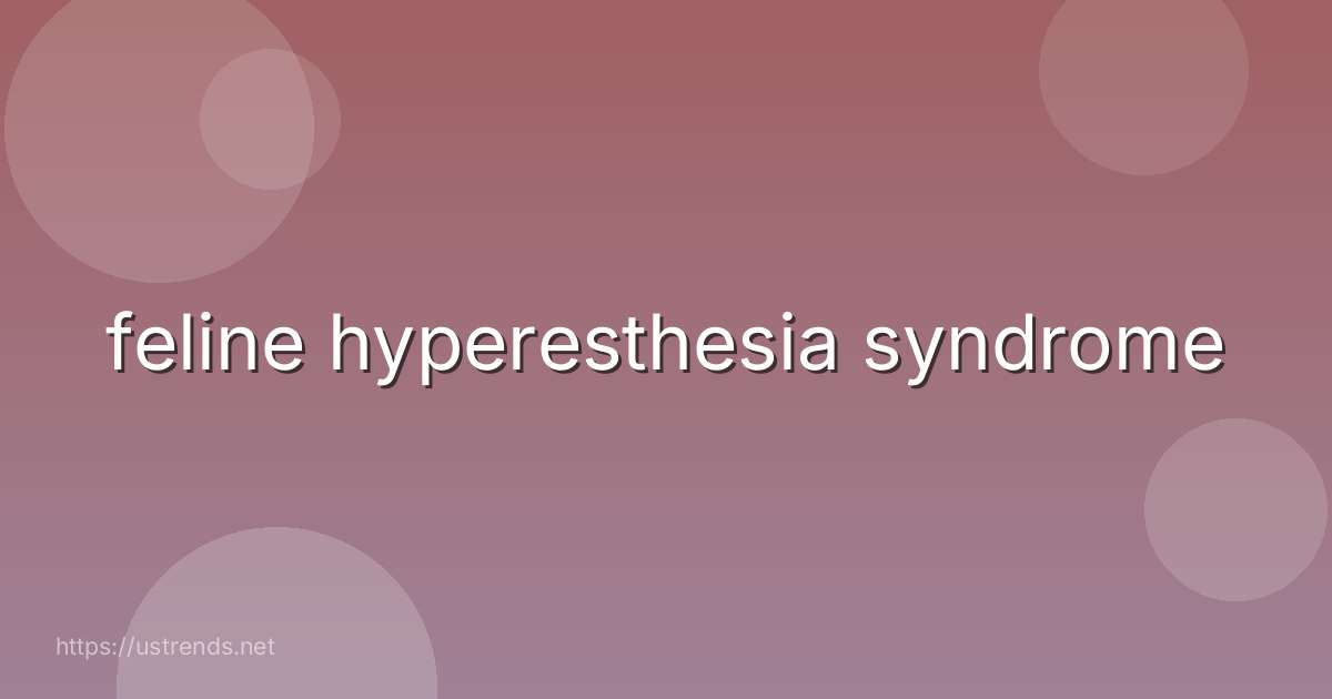 feline hyperesthesia syndrome