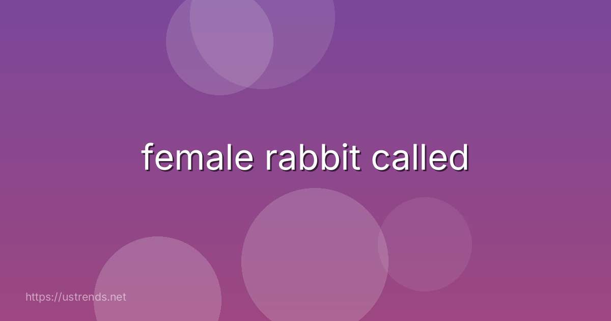 female rabbit called