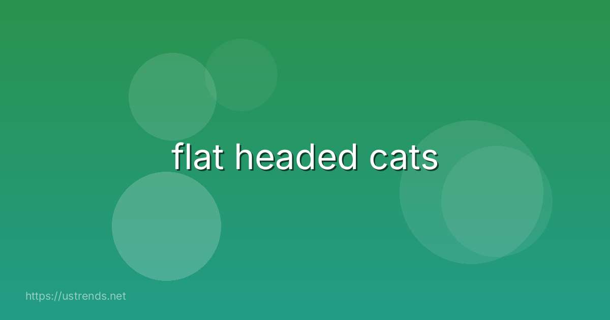 flat headed cats